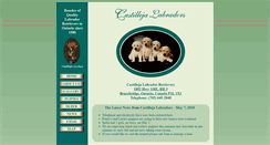 Desktop Screenshot of castillejalabs.com
