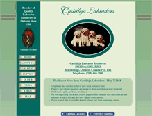 Tablet Screenshot of castillejalabs.com