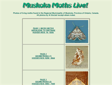 Tablet Screenshot of moths.castillejalabs.com